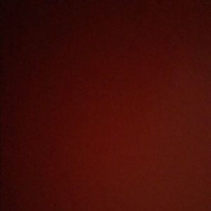 Meet your Posher, Sonya